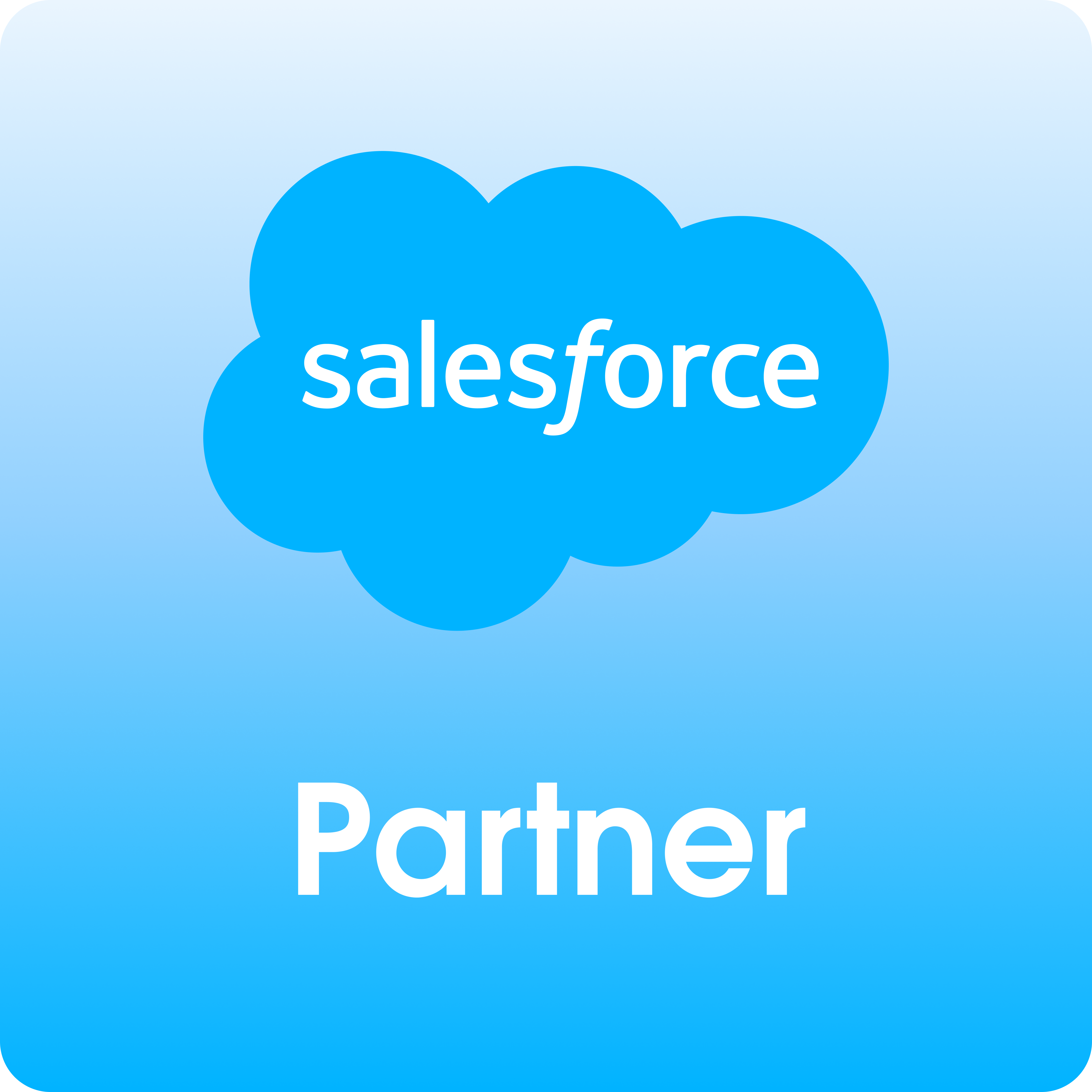 Salesforce Partner Logo
